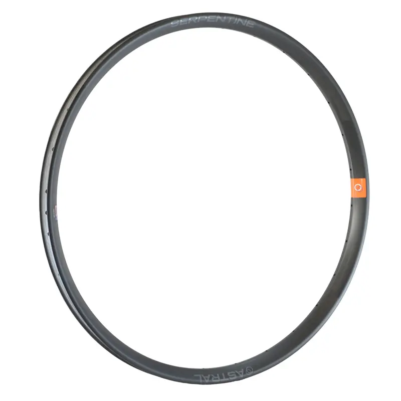 Astral Serpentine Carbon 29" Rim 1