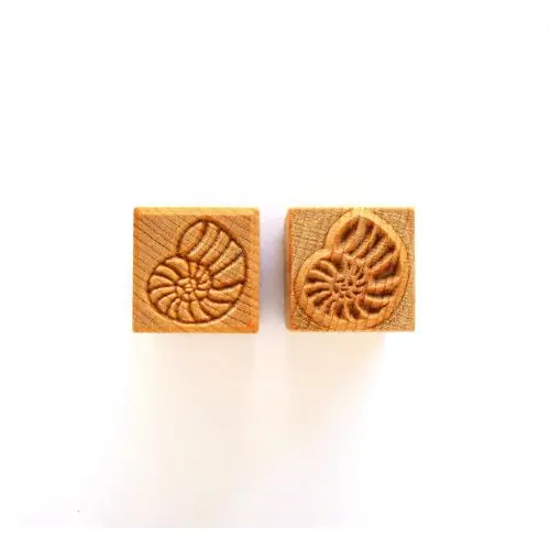 Mkm Ssm 121 Medium Square Stamp - Ammonite 1
