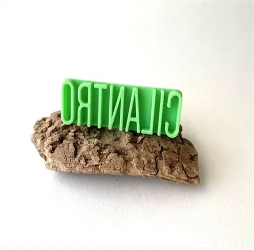 Moonmoon Ceramics Letter Stamp: Cilantro 1
