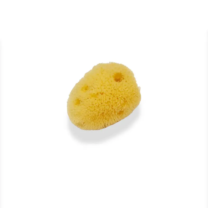 Silk Sponge - Small 1