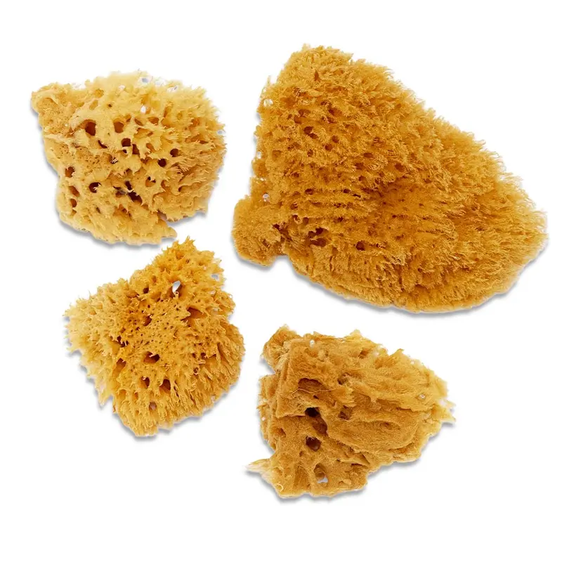 Sponge Set - Wool #2090 1
