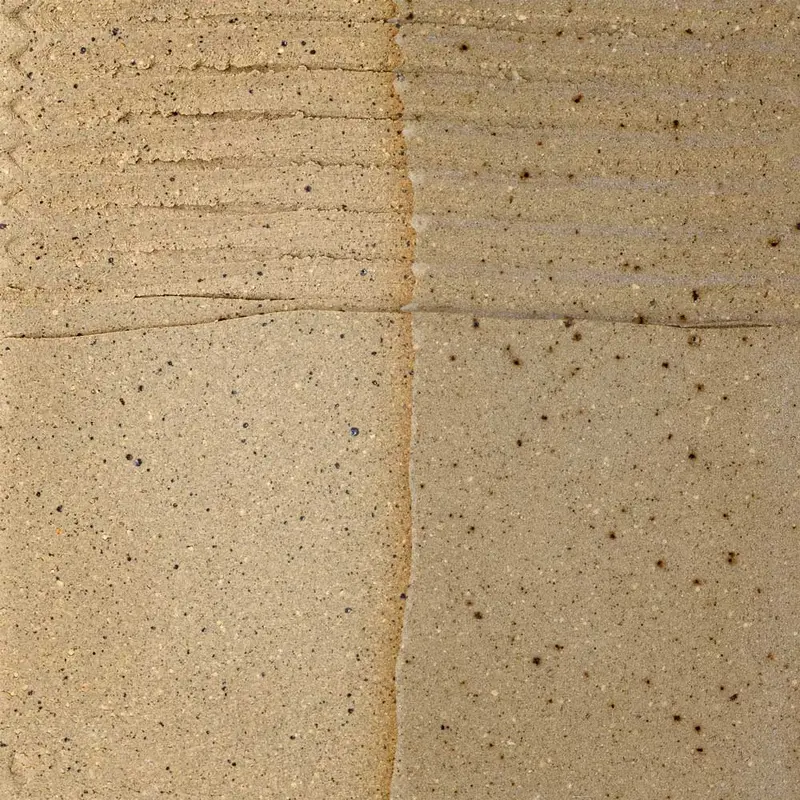 T360-M Speckled Stoneware Moist Clay C5 - 50Lb Box - Delivered Price 1